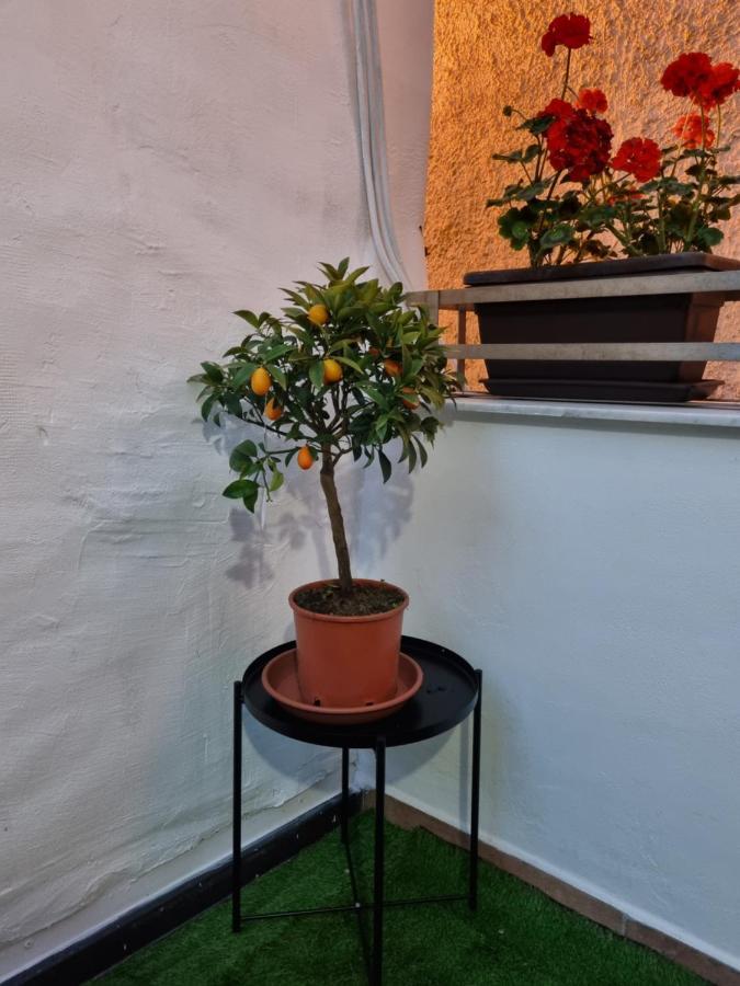 Giardino Moreno Palermo Zewnętrze zdjęcie